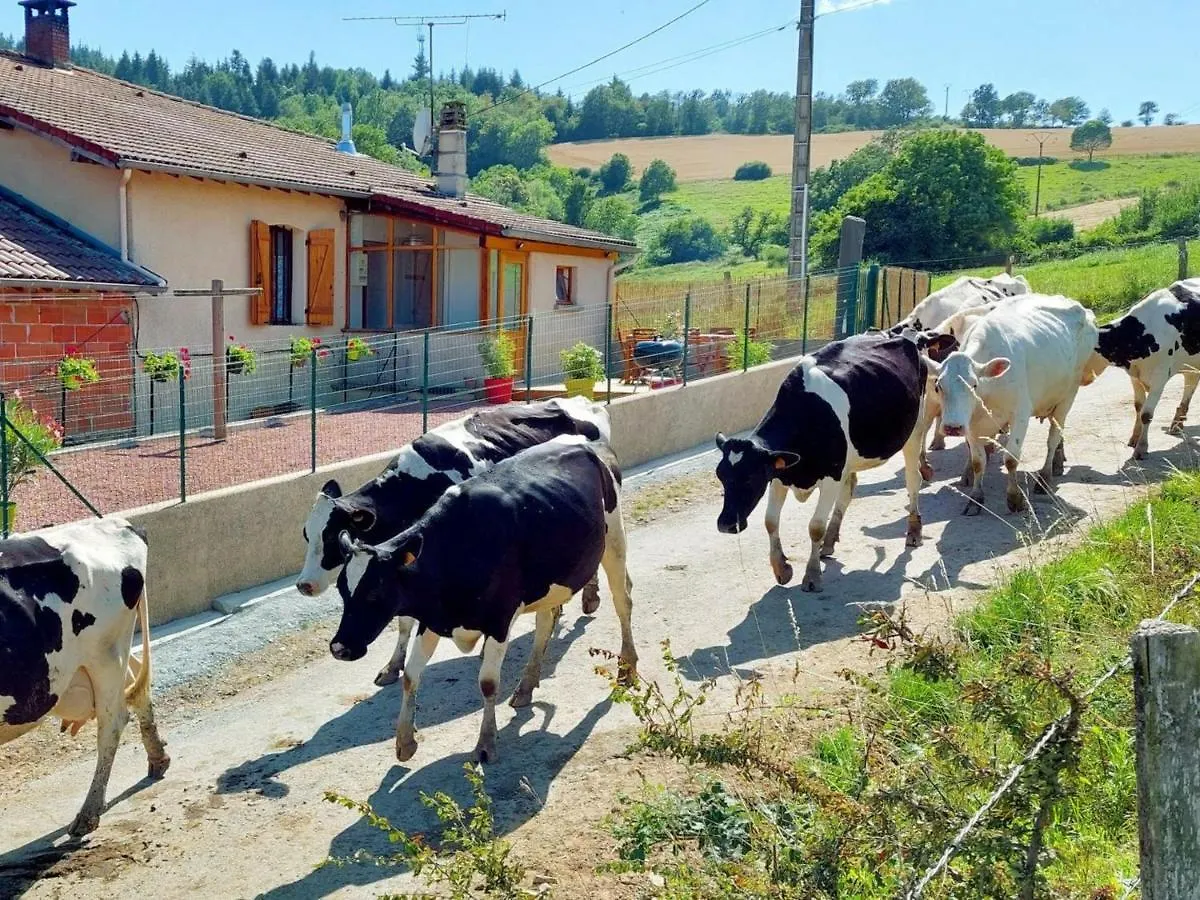 Charmant Gite A La Ferme Avec Terrasse, Proche Loire, Allier, Puy De Dome, Animaux Bienvenus - Fr-1-496-235 Saint-Marcel-d'Urfe Holiday home