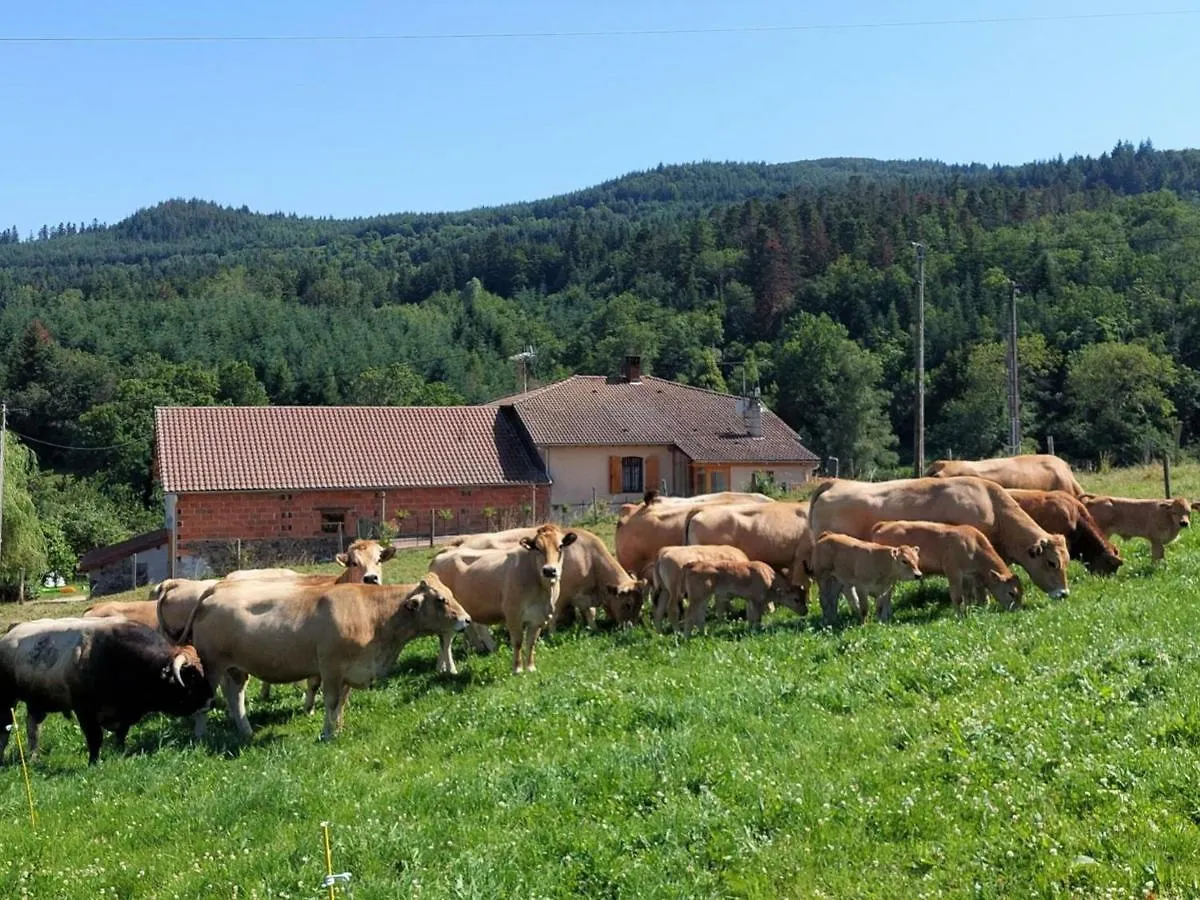 Charmant Gite A La Ferme Avec Terrasse, Proche Loire, Allier, Puy De Dome, Animaux Bienvenus - Fr-1-496-235 Saint-Marcel-d'Urfe
