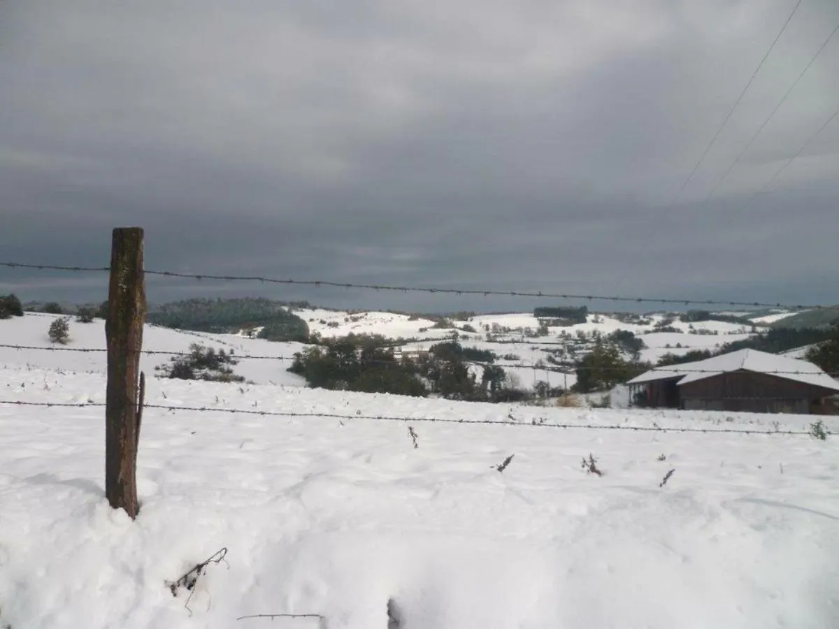 Charmant Gite A La Ferme Avec Terrasse, Proche Loire, Allier, Puy De Dome, Animaux Bienvenus - Fr-1-496-235 Saint-Marcel-d'Urfe France