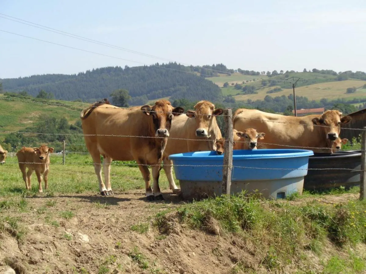 Holiday home Charmant Gite A La Ferme Avec Terrasse, Proche Loire, Allier, Puy De Dome, Animaux Bienvenus - Fr-1-496-235 Saint-Marcel-d'Urfe